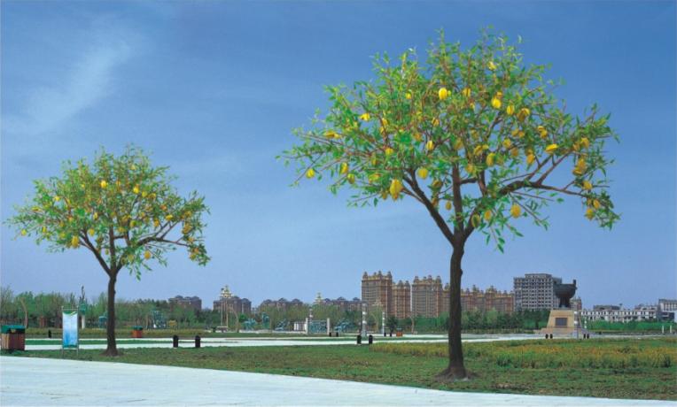 景觀(guān)樹(shù)燈