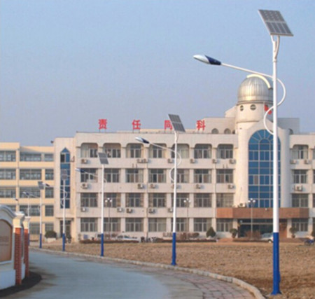 太陽(yáng)能路燈廠(chǎng)家