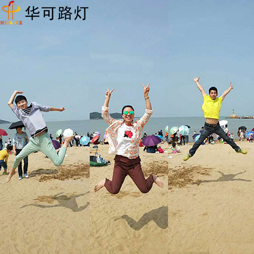 太陽(yáng)能路燈 太陽(yáng)能路燈