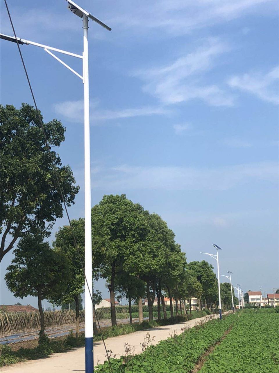 農村太陽(yáng)能路燈 農村太陽(yáng)能路燈