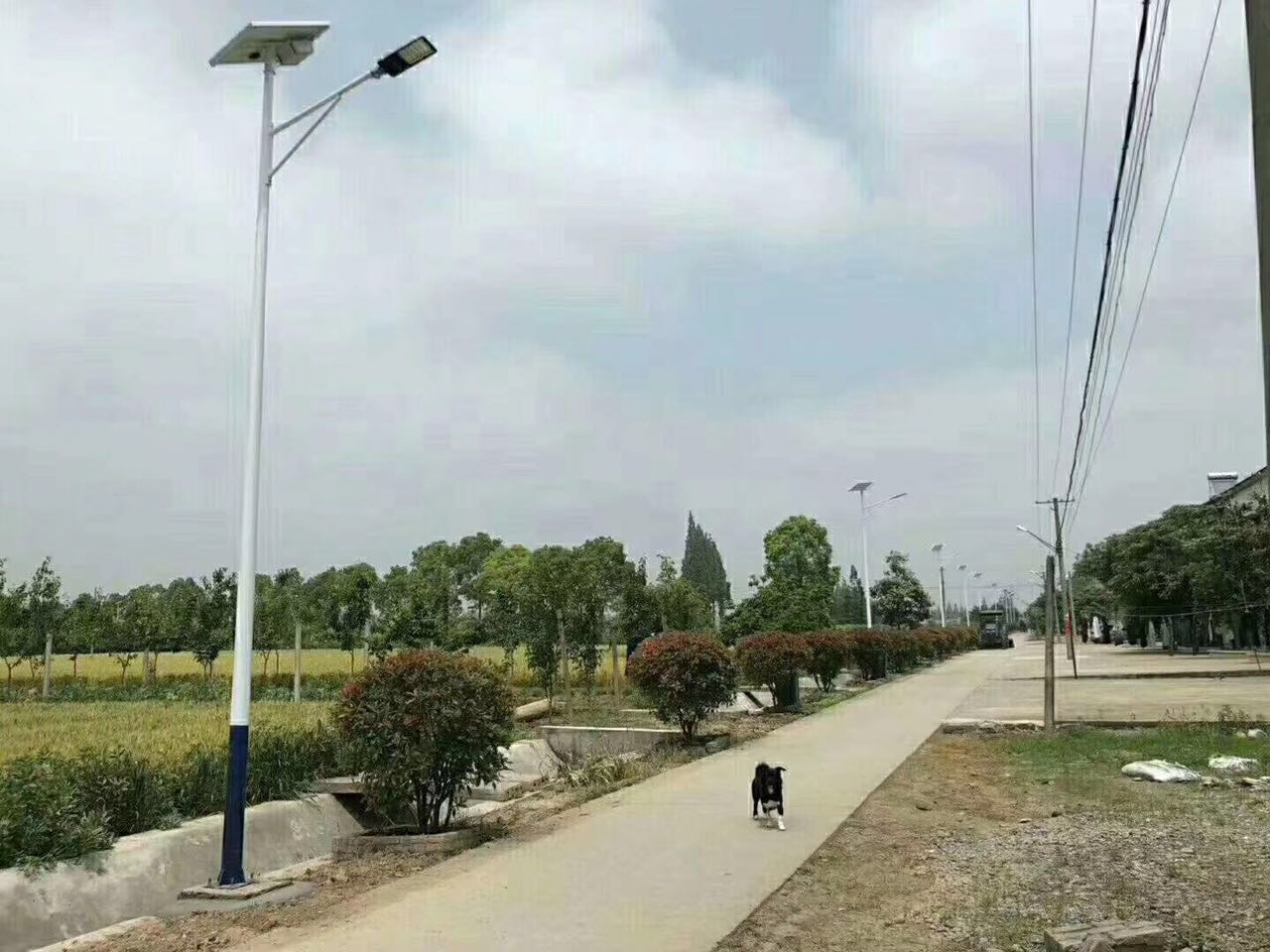農村太陽(yáng)能路燈 農村太陽(yáng)能路燈