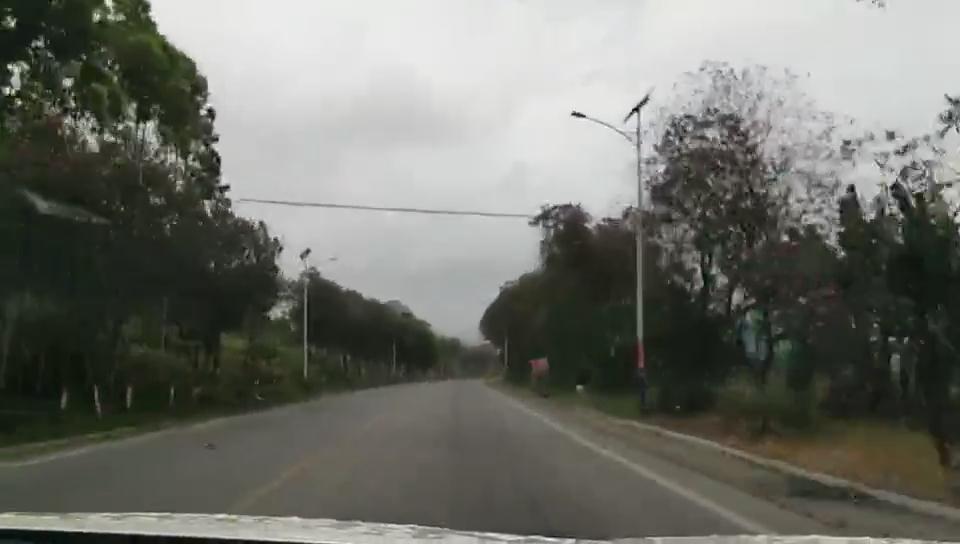 農村太陽(yáng)能路燈