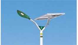 太陽(yáng)能路燈成為了農村“新成員”