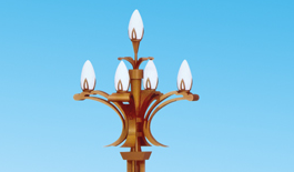 新聞：城市為何更愛(ài)玉蘭燈？